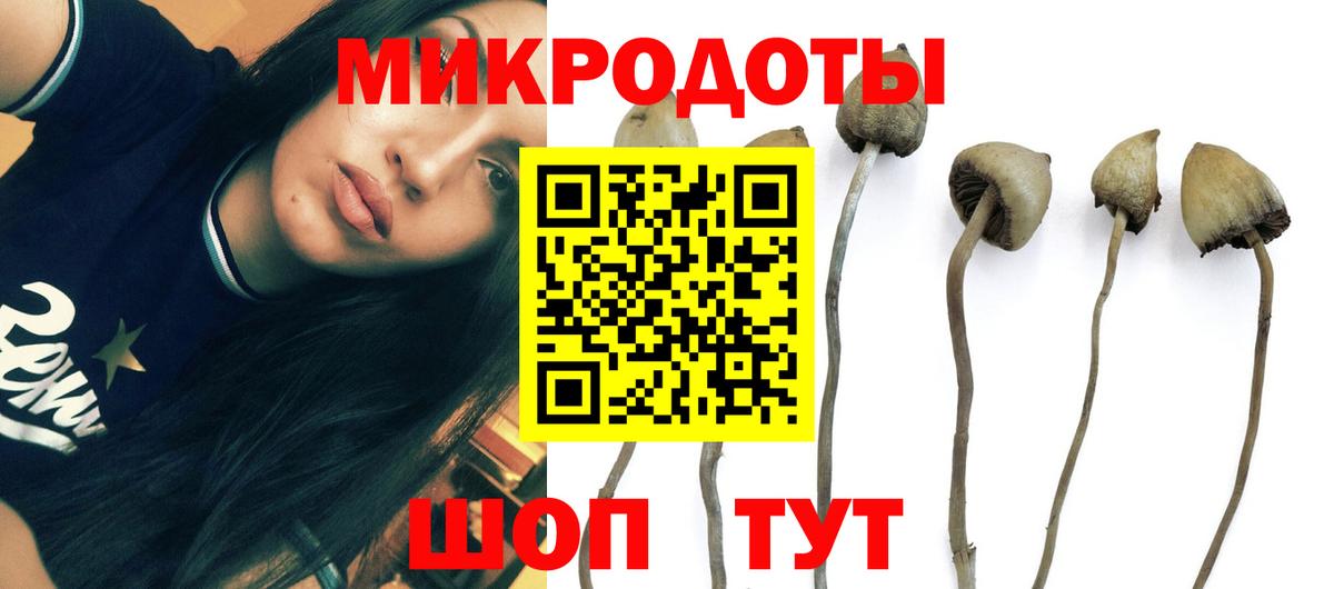 Галлюциногенные грибы прущие грибы  Вход с VPN  Галлюциногенные грибы мицелий  Семёнов 